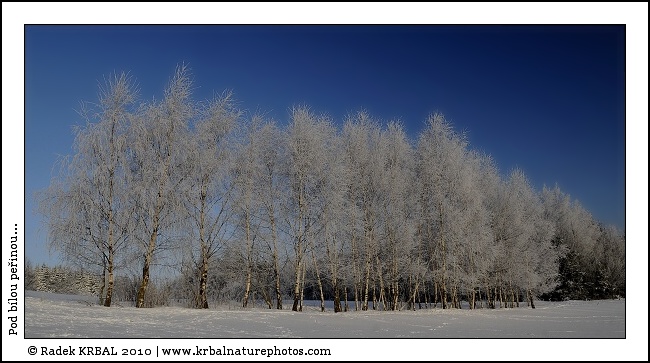 Pod b�lou pe�inou | Winter Tale | Winterm�rchen