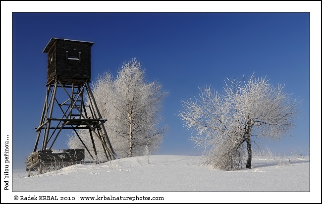 Pod b�lou pe�inou | Winter Tale | Winterm�rchen
