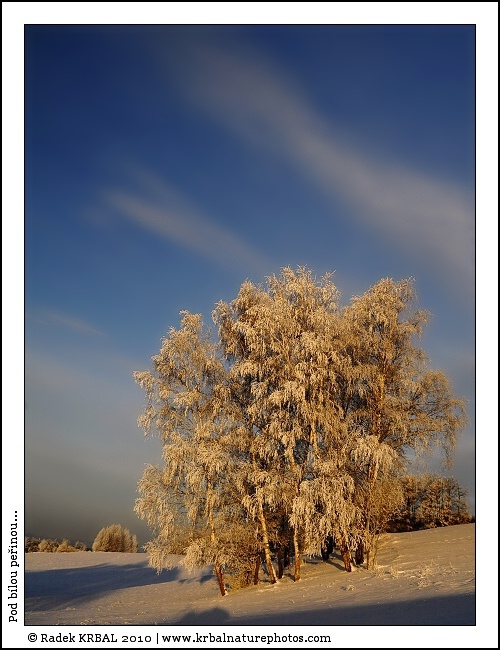 Pod b�lou pe�inou | Winter Tale | Winterm�rchen
