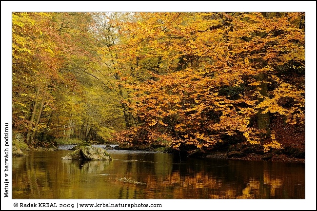 Metuje v barv�ch podzimu | The Metuje River in autumn colours | Fluss Mettau in Herbstfarben