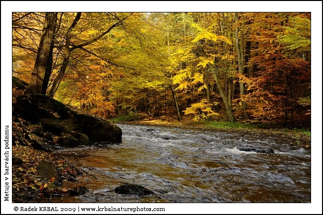 Metuje v barv�ch podzimu | The Metuje River in autumn colours | Fluss Mettau in Herbstfarben