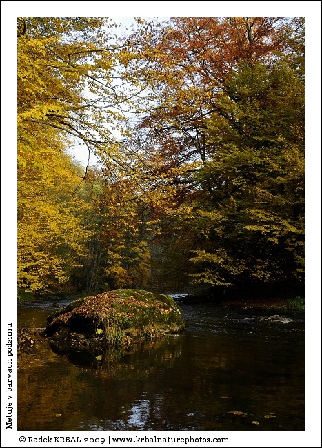 Metuje v barv�ch podzimu | The Metuje River in autumn colours | Fluss Mettau in Herbstfarben