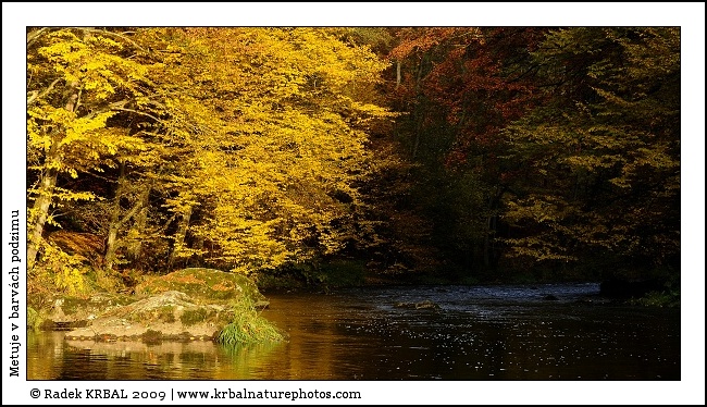 Metuje v barv�ch podzimu | The Metuje River in autumn colours | Fluss Mettau in Herbstfarben