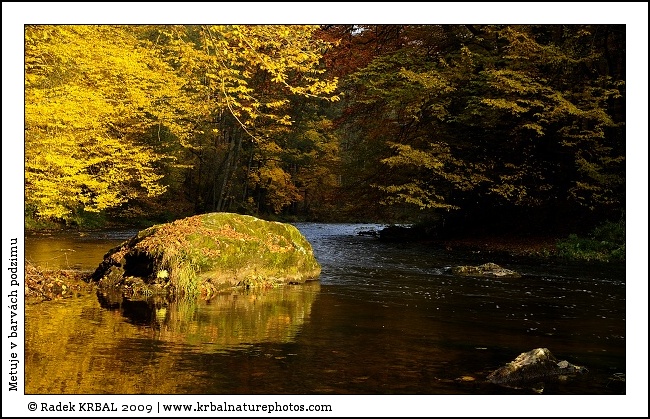 Metuje v barv�ch podzimu | The Metuje River in autumn colours | Fluss Mettau in Herbstfarben